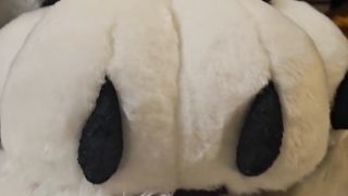 Pawjobs and Fellatios