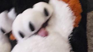 Pawjobs and Fellatios