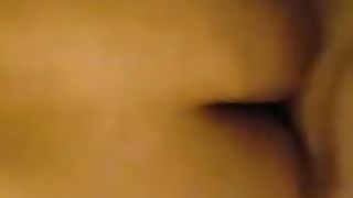 sugary-sweet trans caboose