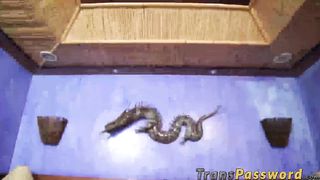 Hot blonde tranny Mirela Abelha rides massive cock on a bed