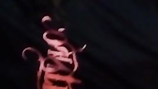 LickyCocks 1st KEEKASS intro