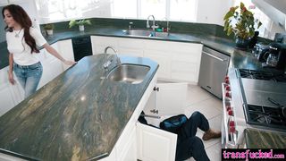 Hot shemale getting plumbers attention