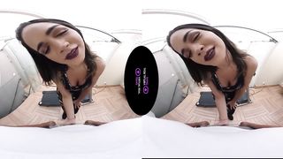 VirtualRealTrans - Private trainer