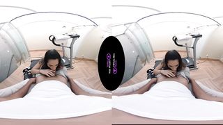 VirtualRealTrans - Private trainer