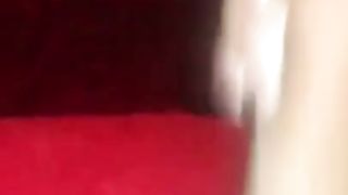 Fabiola Voguel Maravilhosa