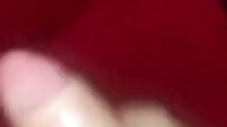 Fabiola Voguel Maravilhosa