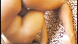 Porn Transexual Assfucking Tales!!! vol. #02