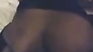 I nail a latina transgirl