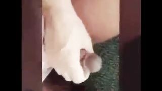 Supah Nasty Street T-gal