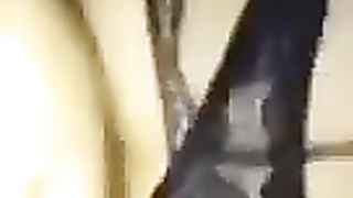 turkish ( the course is half-concluded)