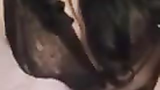 Splendid Trans Gf Taunting