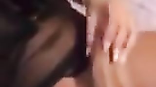 Splendid Trans Gf Taunting