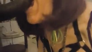 Heather adores,  take all ten inches of BIG BLACK COCK down her jaws