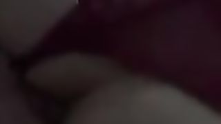 Sissy cherry bred for the very first time (Pt.two)