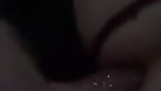 Sissy cherry bred for the very first time (Pt.two)