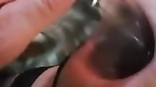 Turkish CD Ayse Bottle Ass-Fuck Pummeled two (13.09.2018)