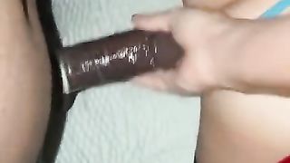 Crimson-head Italian Transexual