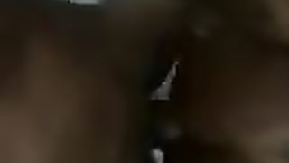 Cajuina t-model fuck-a-thon