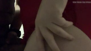 Magnificent yorkshire tgirl four