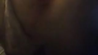 9in plaything ravaging Sugar Cravsitt