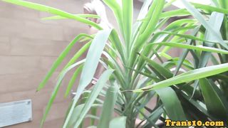 Bigtitted latina tgirl faps after taunting