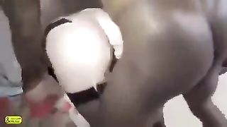 Massive wood and smallish Beaver