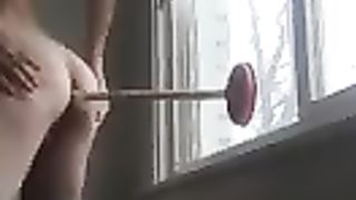 Boy tears up mounted behemoth on glass window