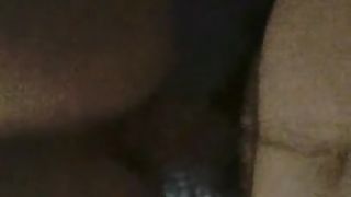 Biotch Stamp Transgirl Doggy-Style