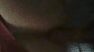 Biotch Stamp Transgirl Doggy-Style