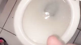 TRANSSEXUAL PLUMPER spunking in the wc