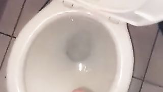 TRANSSEXUAL PLUMPER spunking in the wc