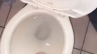 TRANSSEXUAL PLUMPER spunking in the wc