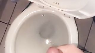 TRANSSEXUAL PLUMPER spunking in the wc