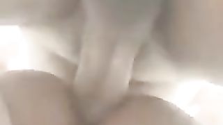 Turkish Ladyboy Hande