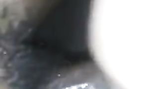 Sissy Hollyanne gets it from a standard