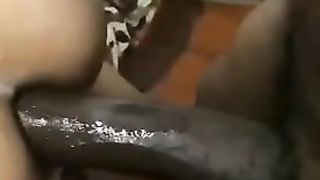 Sugar Cravsitt Introduces BIG BLACK COCK breeding and internal ejaculation Sissygurl