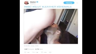 BIG BLACK COCK EVOLUTION : STEFANI