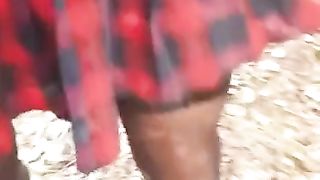 Joy in the forest again