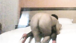 Latin crossdresser backside smashed (Travesti cogida por culito)