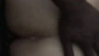 Big Black Cock penetrating gigantic butt transgirl breezy