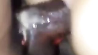 ebony trouser snake in my bum