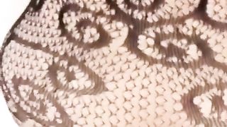 Highly steamy tranny underwear fucky-fucky