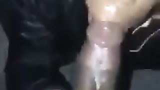 transsexual head monster