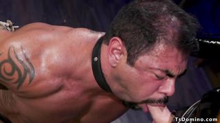 Fat weenie TRANSSEXUAL mistress smashes victim