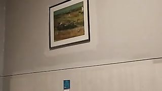 Japanese Grandfather And She-Male Spin Flop