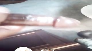 Mexican Trans Showcase