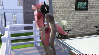 Unshaved Hermaphroditism Compilation