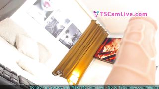 Get Excited for the Shebabe Exotic Dog Collar Part 5