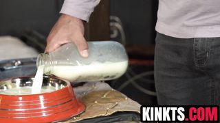 Naughty TS Pixi Lust submits to Draven Navarro for hardcore plowing