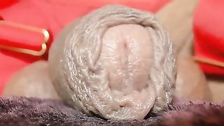 exclusive rod Charlottelaurent 2025-03-06 02-48-13 editat.mp4